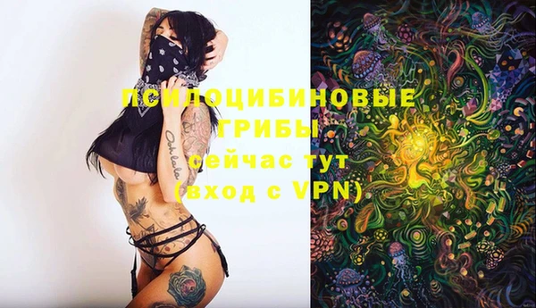 кокаин Вяземский