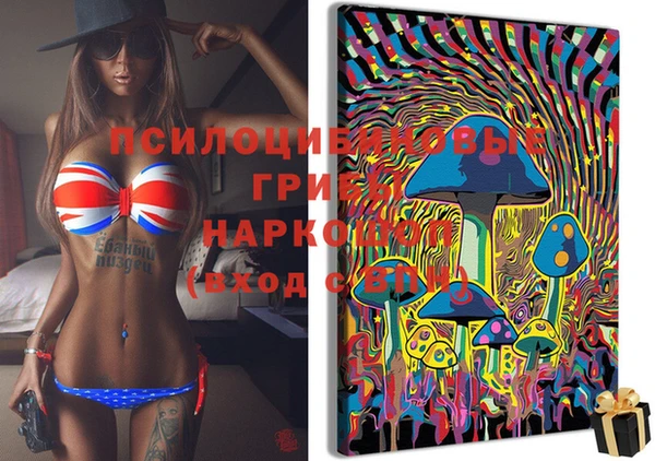 кокаин Вяземский