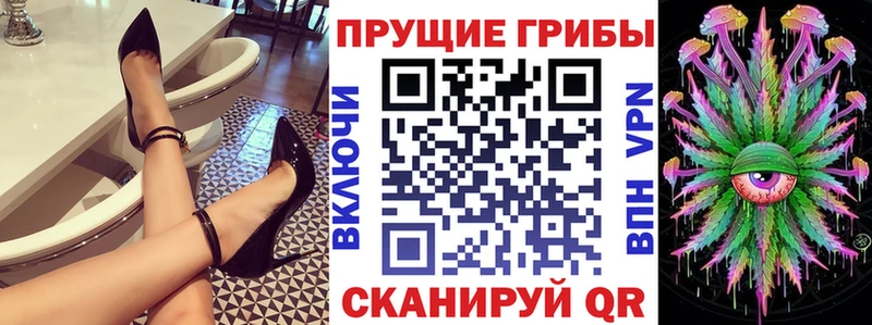 Псилоцибиновые грибы Cubensis  наркошоп  Кремёнки 